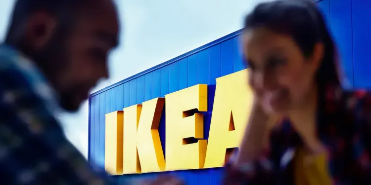 Русский лес и простые истины: как вологодская компания стала важным партнером для IKEA
