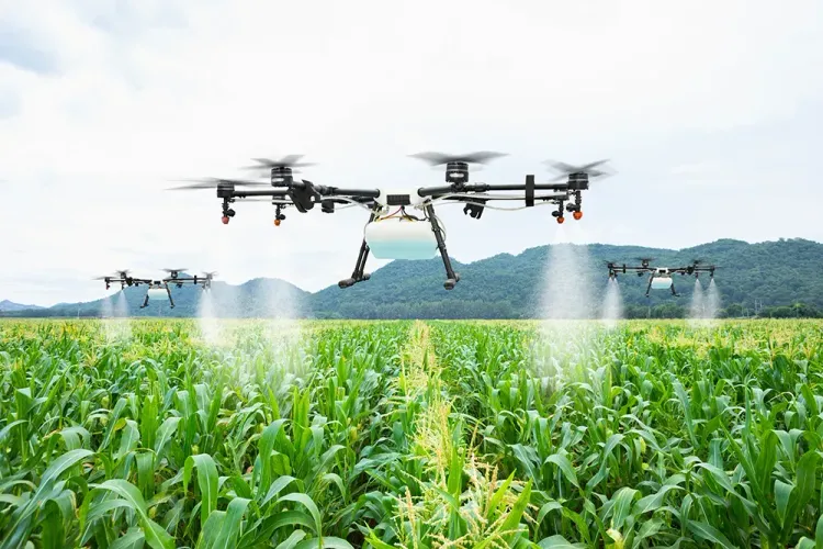 Сельское хозяйство высокой точности: как технологии меняют российский АПК