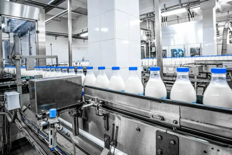 Куда двигаться в кризис: пять актуальных направлений для молочной отрасли