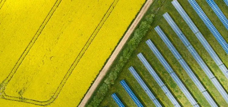 Солнечная энергетика: у кого в мире больше электростанций