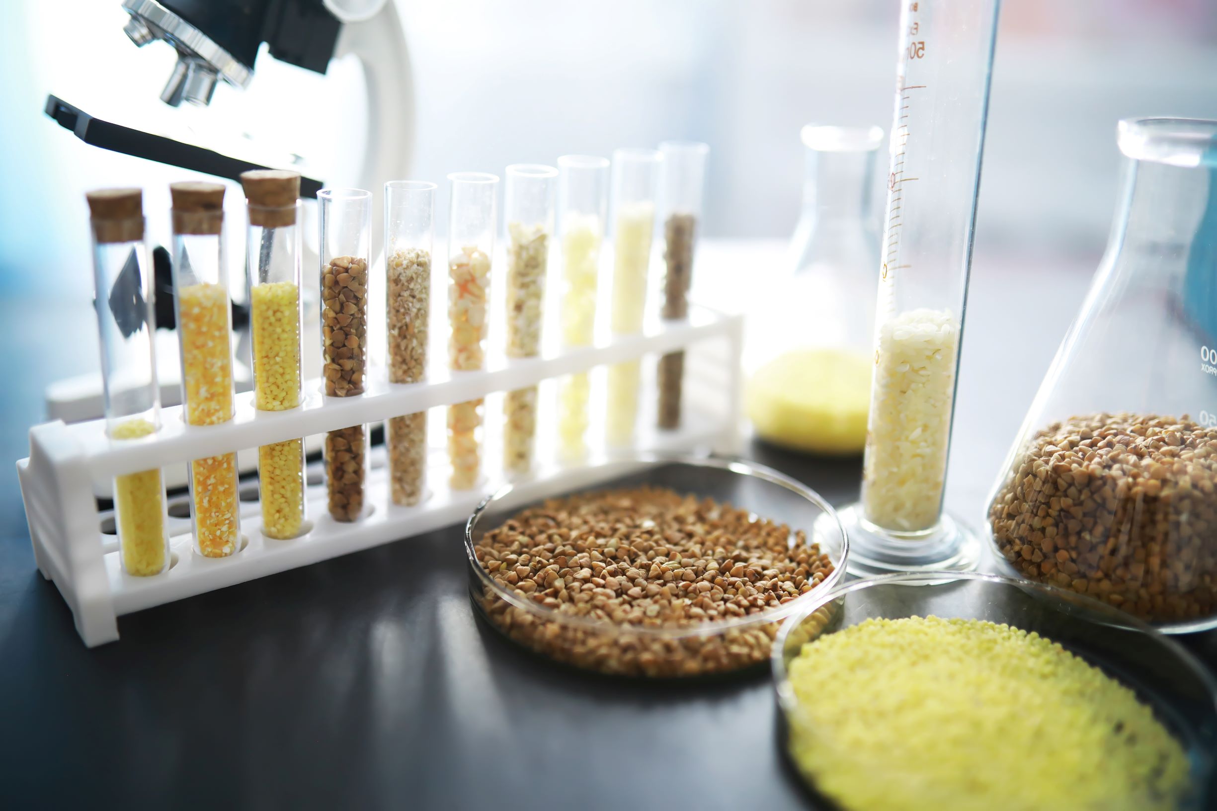 Корма проба. Лабораторные исследования пшеницы. Лаборатория зерна. Исследование семян в лаборатории. Исследование зерна.