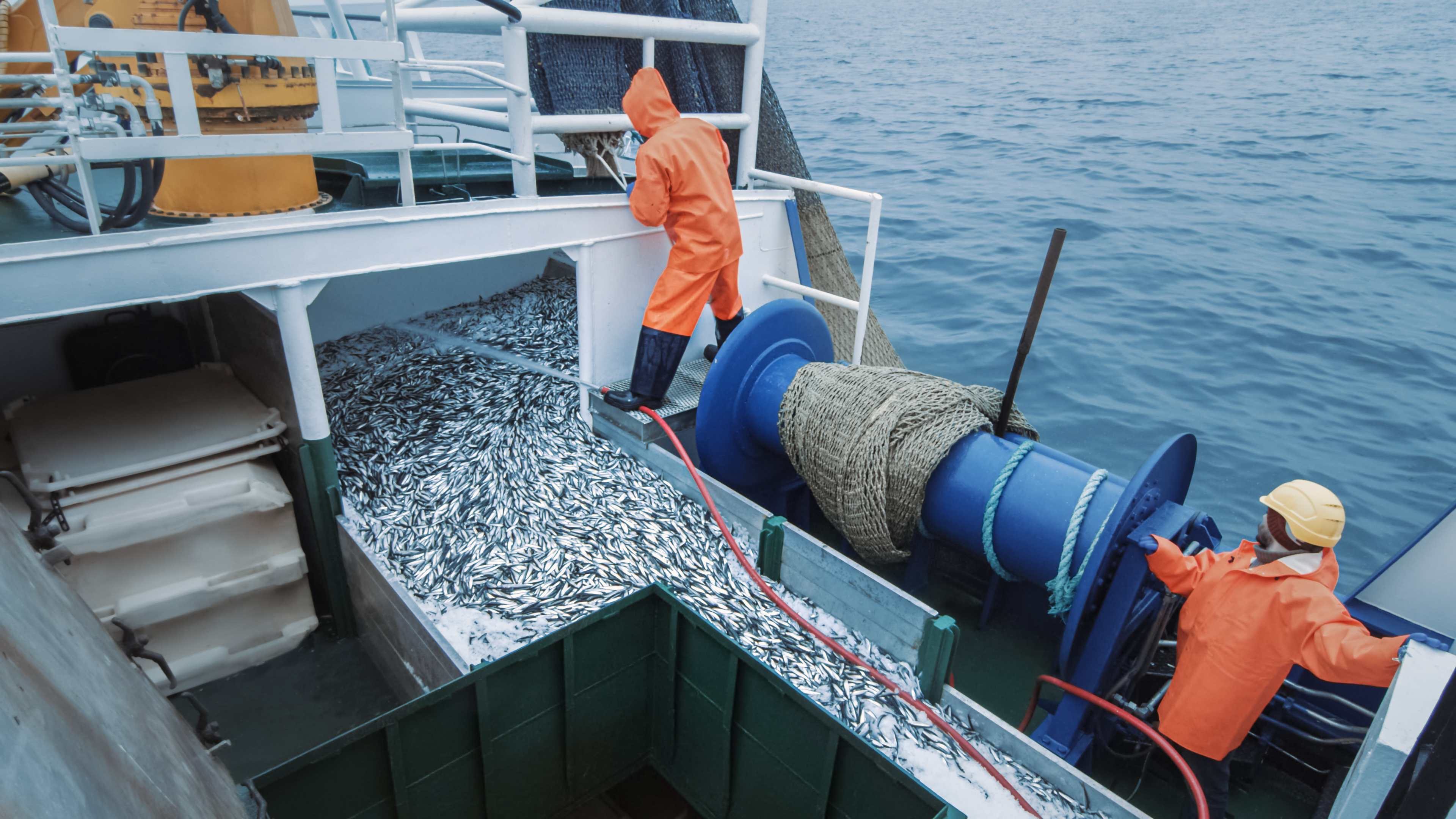 Барометр отрасли: рыболовство и аквакультура