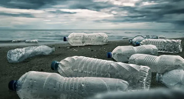 Против пластика. Как государства стимулируют борьбу с отходами