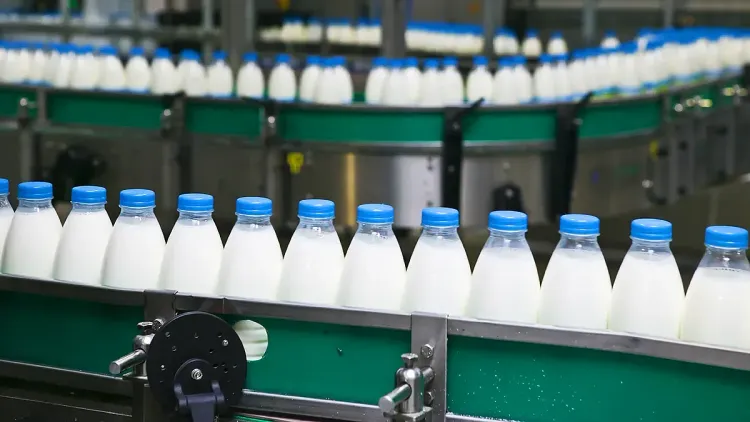 Молоко на блокчейне. Как крупные предприятия используют технологию